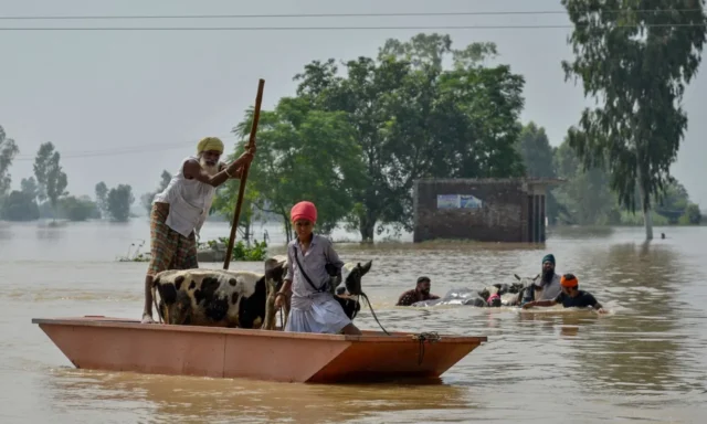 PMFBY Punjab Flood
